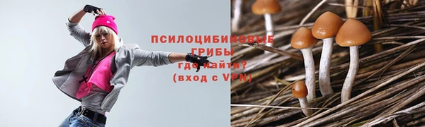 spice Абинск