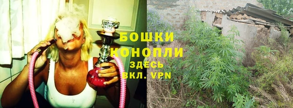 spice Абинск