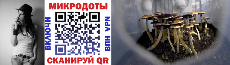 Галлюциногенные грибы мицелий где можно купить Балаково