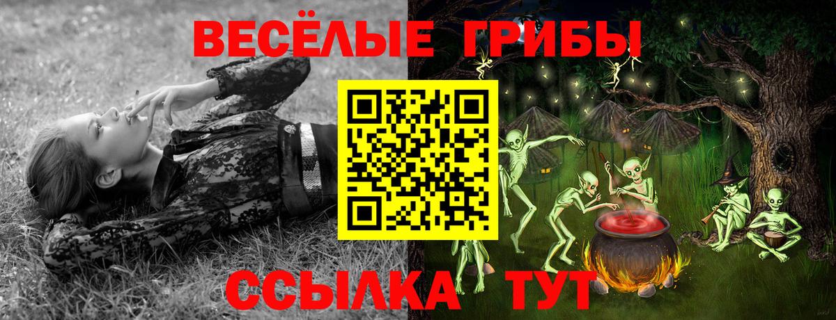 Балаково  Галлюциногенные грибы Psilocybine cubensis  Вход с VPN 