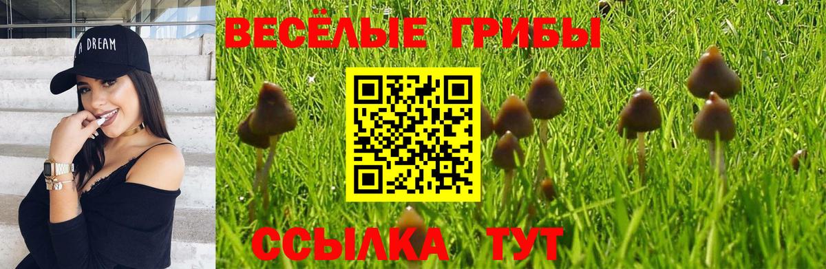 Псилоцибиновые грибы GOLDEN TEACHER Балаково